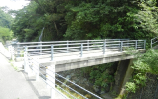 歩道タイプ